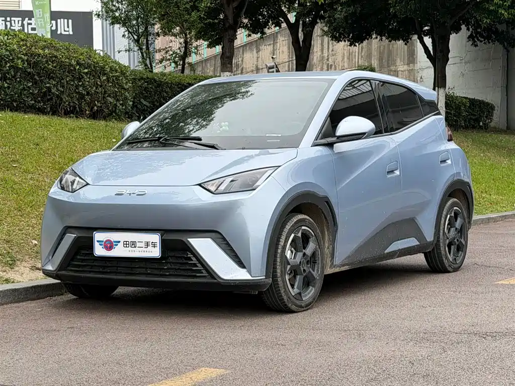 Byd Seagull 2024