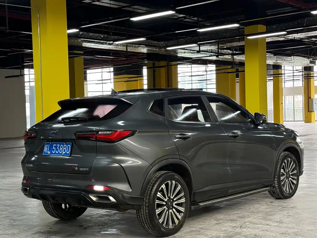 Oshan Oushang X5 — миниатюра 4