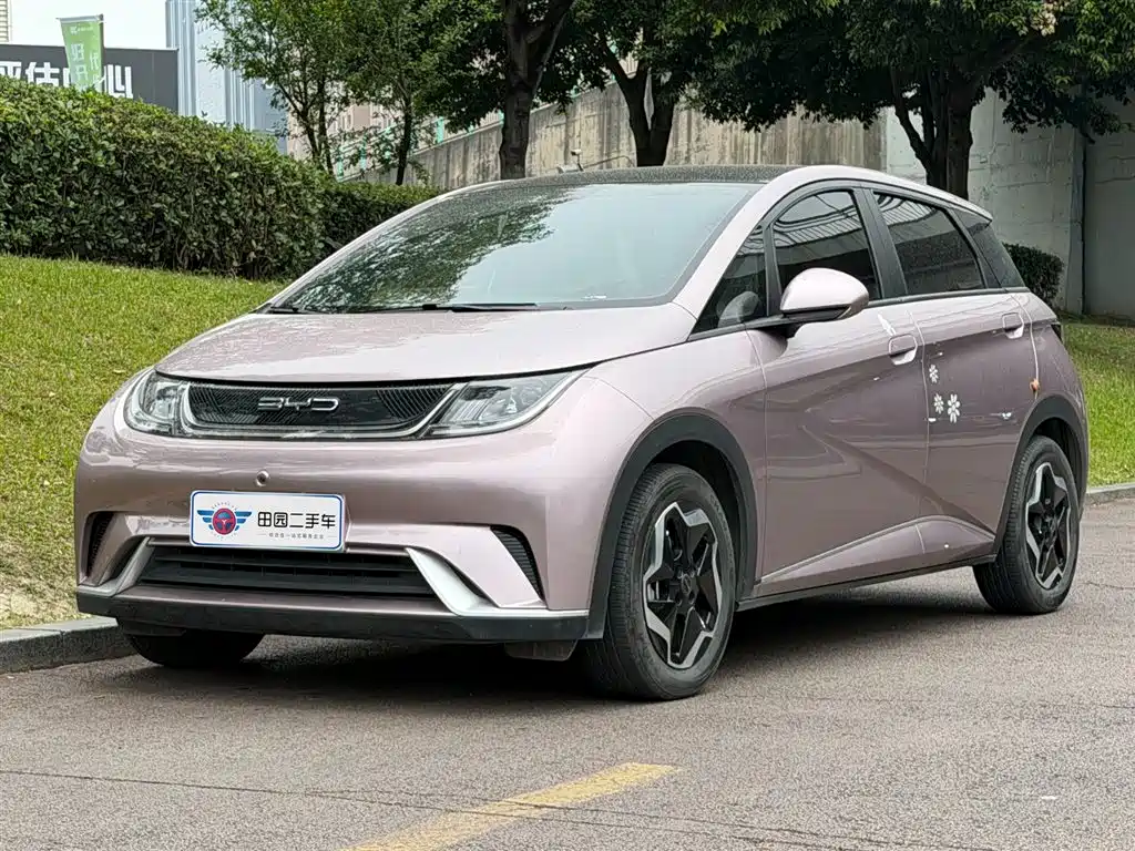Byd Dolphin 2022