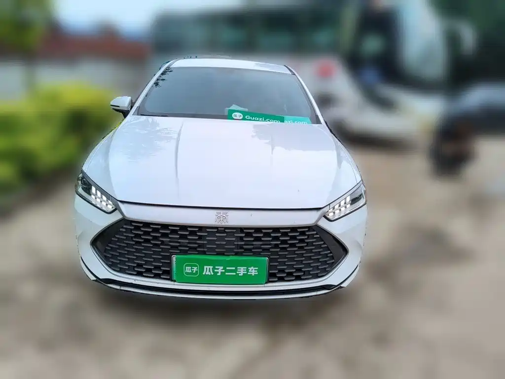 BYD Qin Plus PLUS 2024 DM-i 55KM Lead