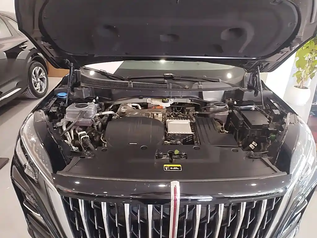 Hongqi Hongqi HS3 PHEV — миниатюра 20