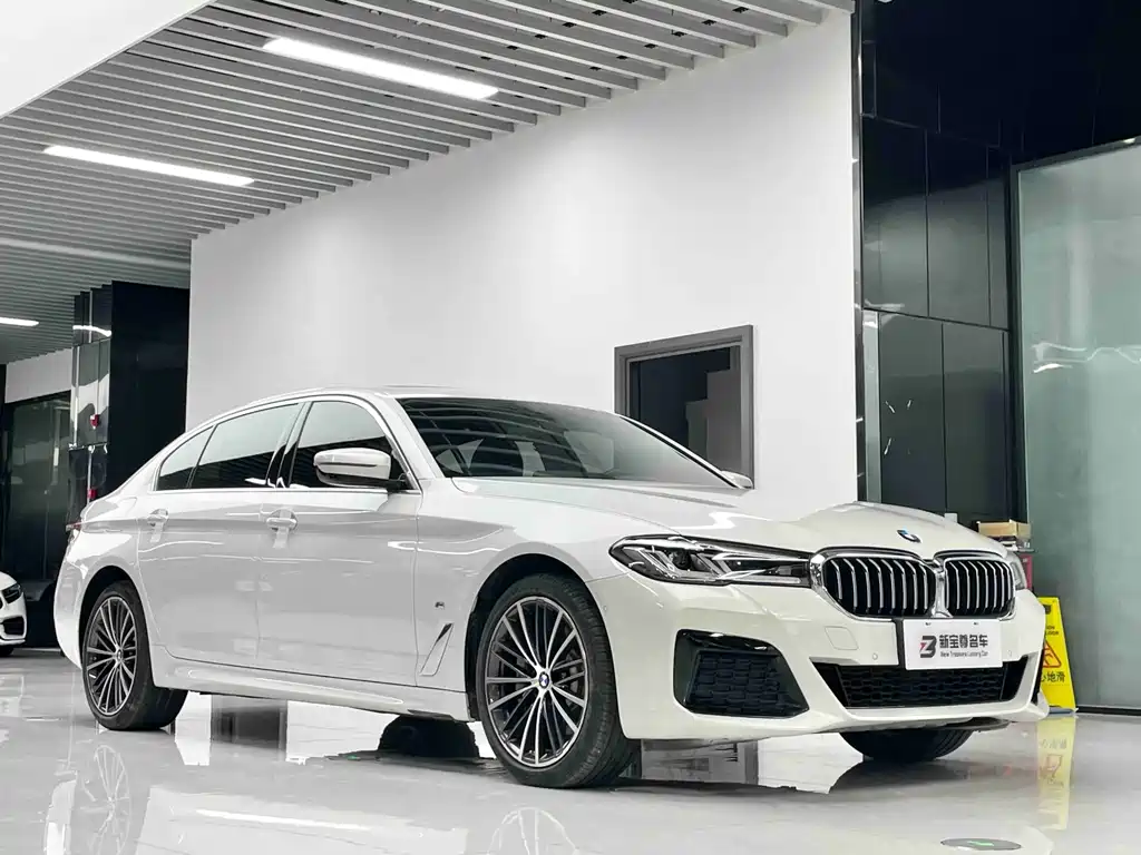 BMW 5 Series — миниатюра 3