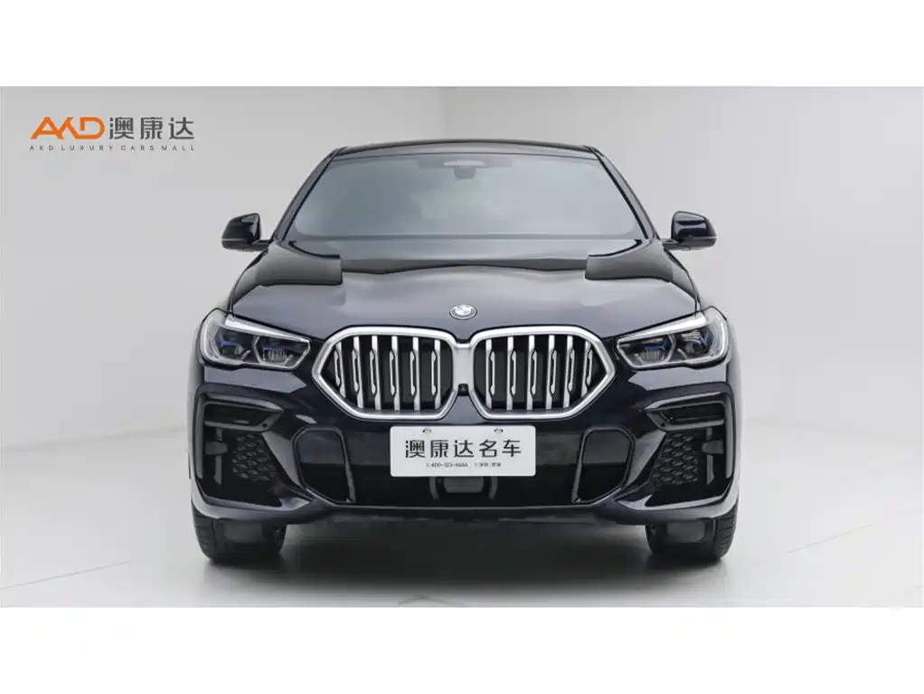 BMW X6 — миниатюра 2
