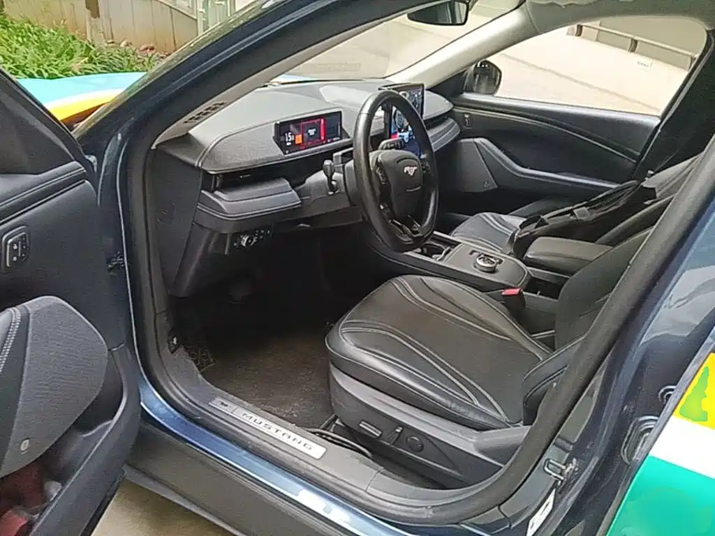 Ford Mustang Mach-E — миниатюра 16