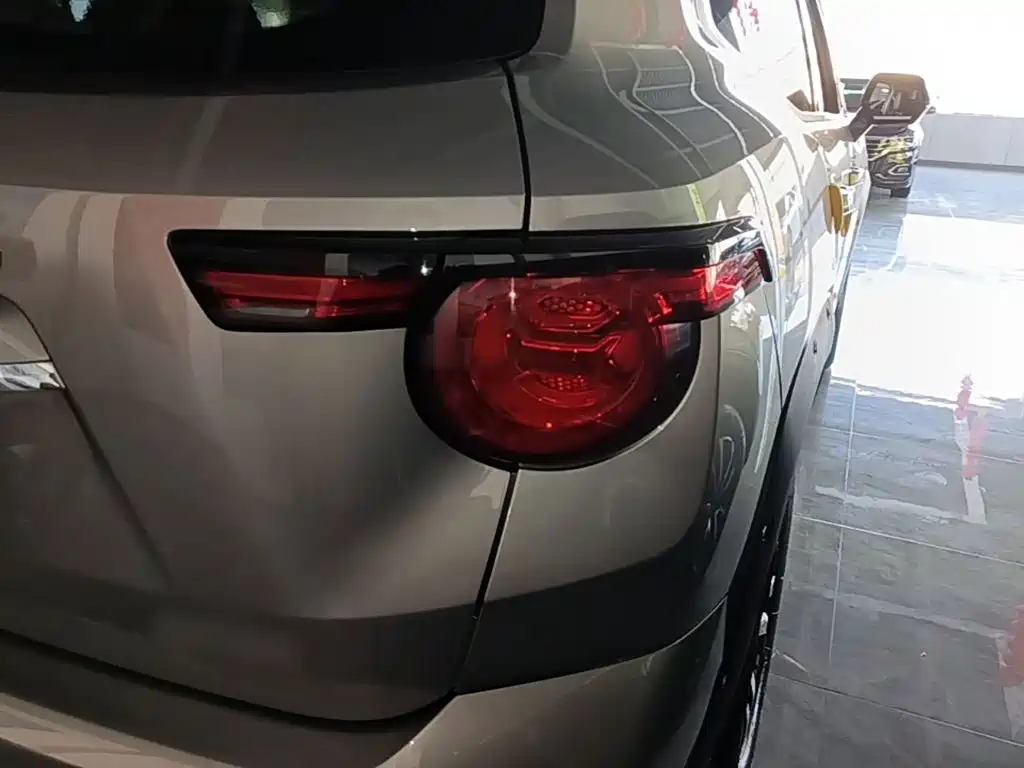 Haval Big Dog PLUS — миниатюра 8