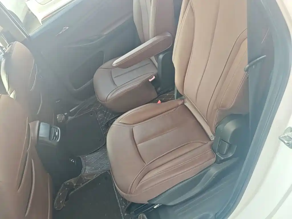 Buick GL6 — миниатюра 17
