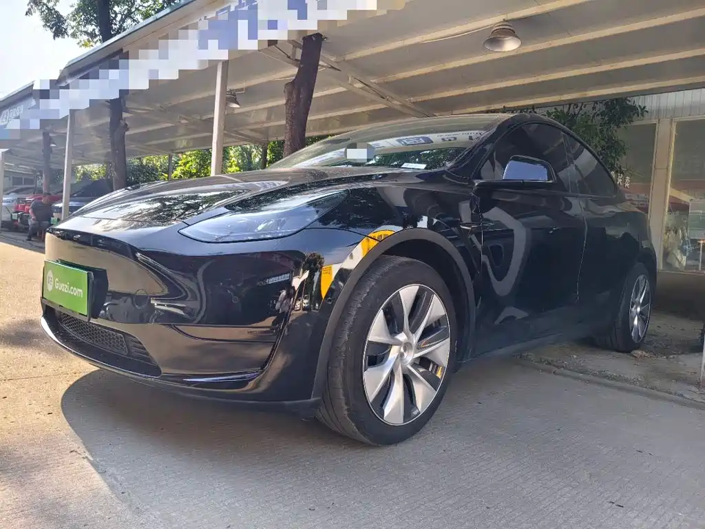 Tesla Model Y — миниатюра 2