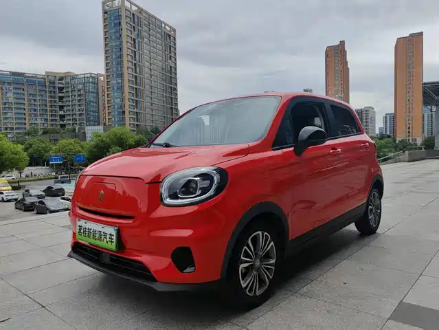 2021 Leapmotor T03
