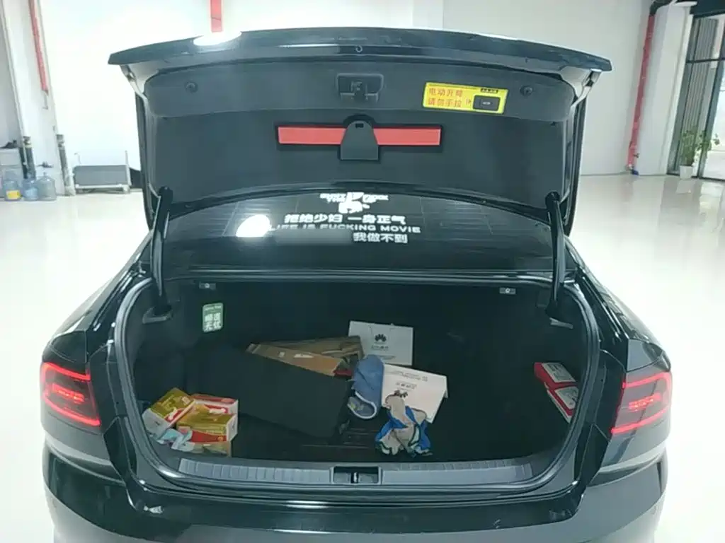 Volkswagen Magotan — миниатюра 19