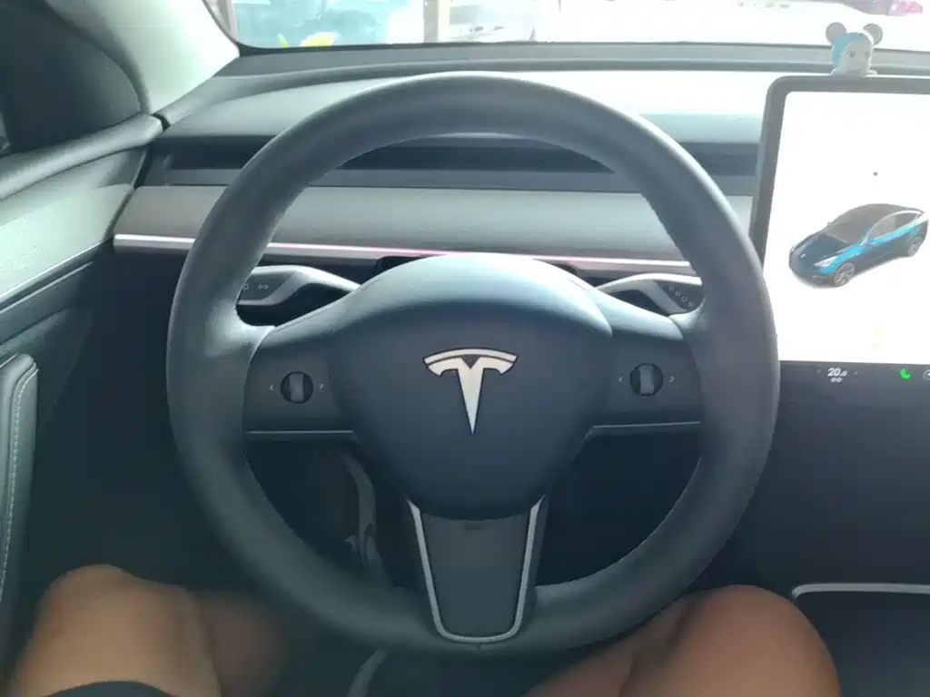 Tesla Model Y — миниатюра 11