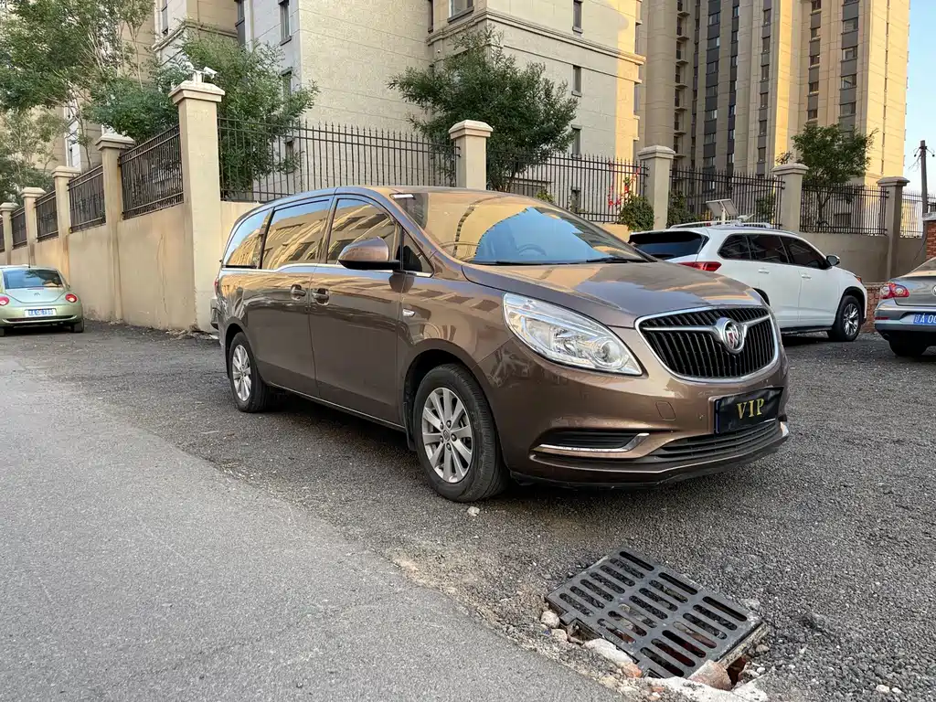Buick GL8 — миниатюра 12
