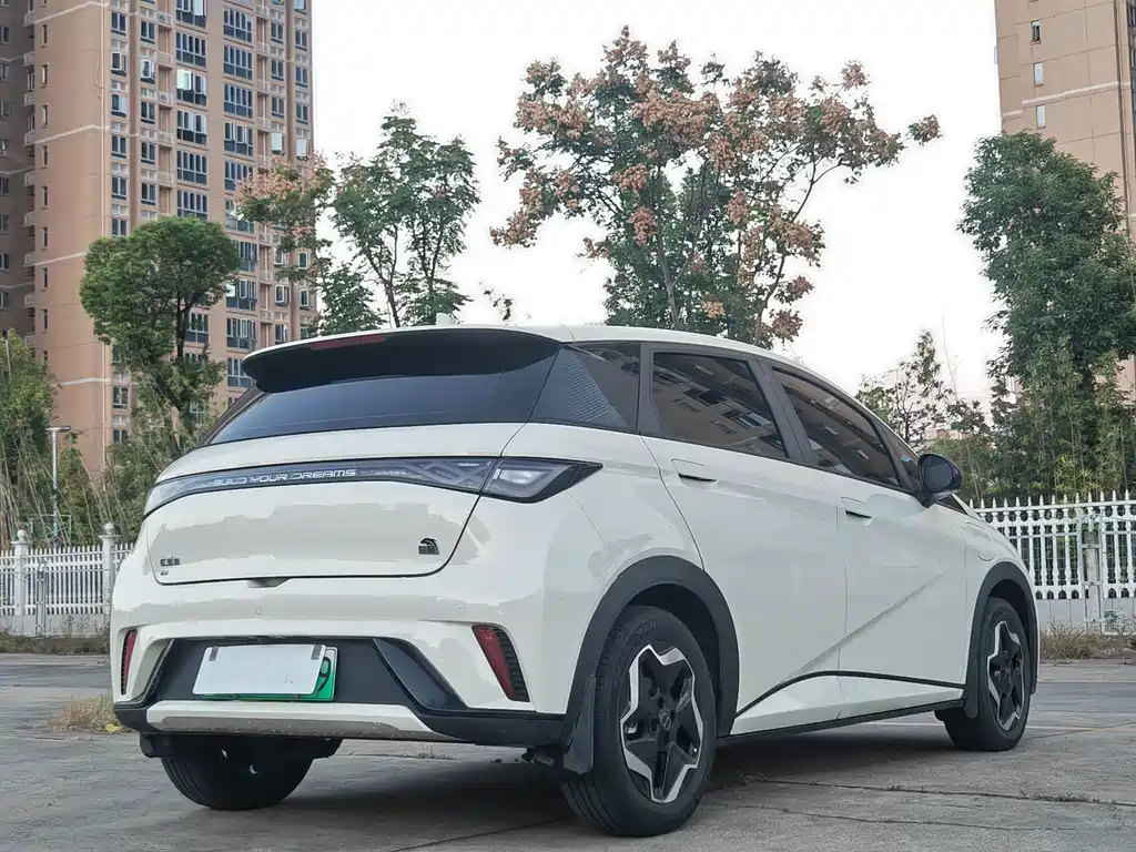 BYD Dolphin — миниатюра 6