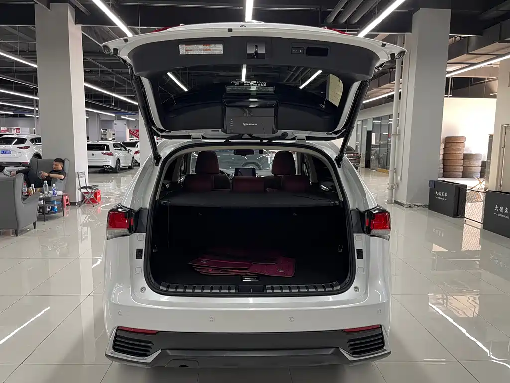 Lexus NX 2018 200 V