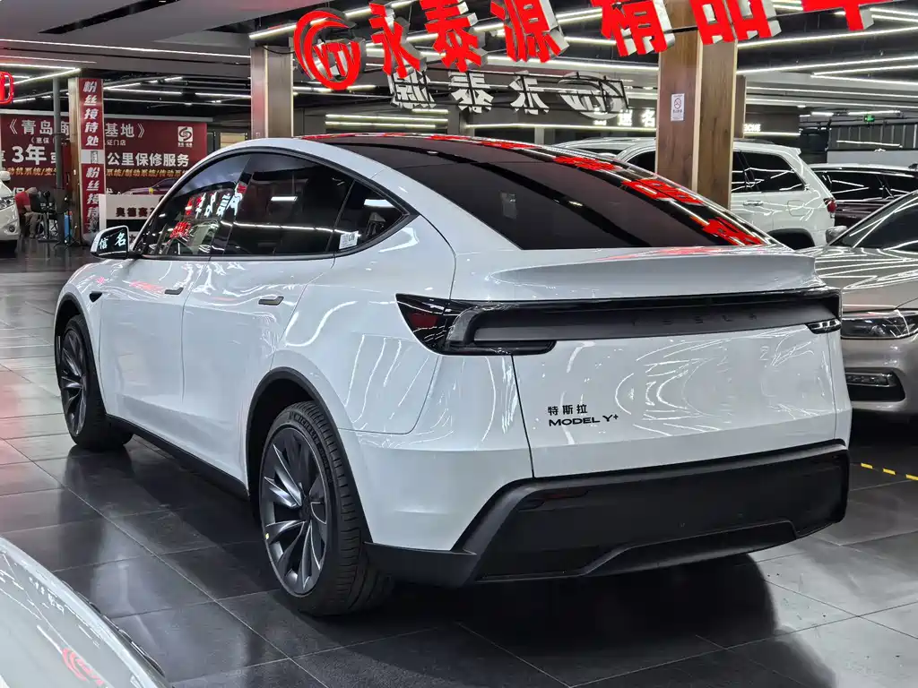 Tesla Model Y — миниатюра 6