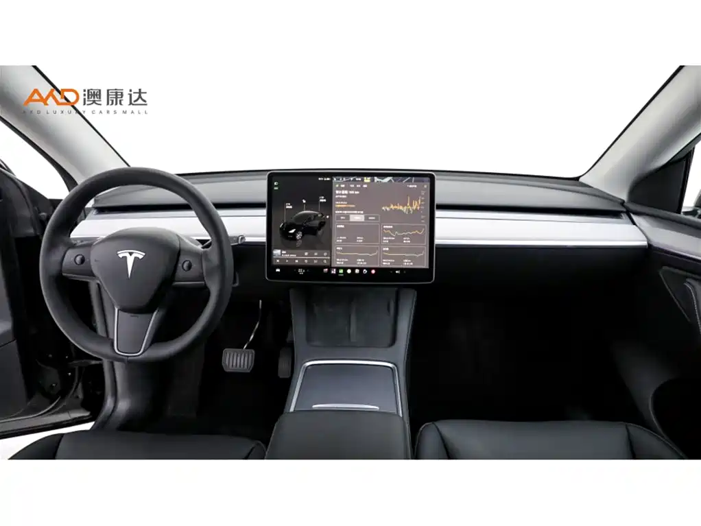 Tesla Model Y — миниатюра 5