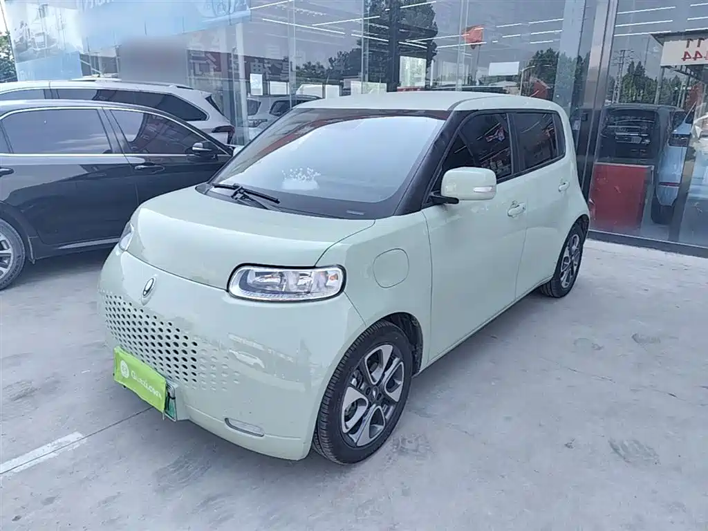 Ora Ora White Cat 2022