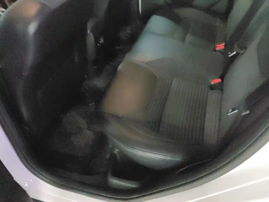 Ford Focus — миниатюра 11