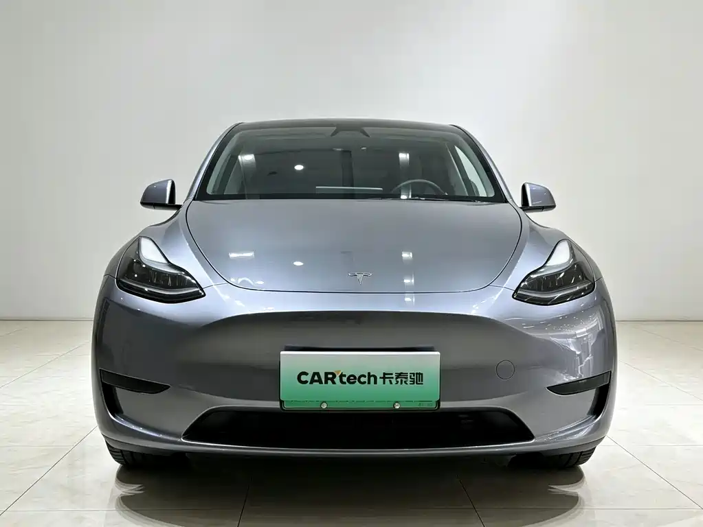 Tesla Model Y — миниатюра 2