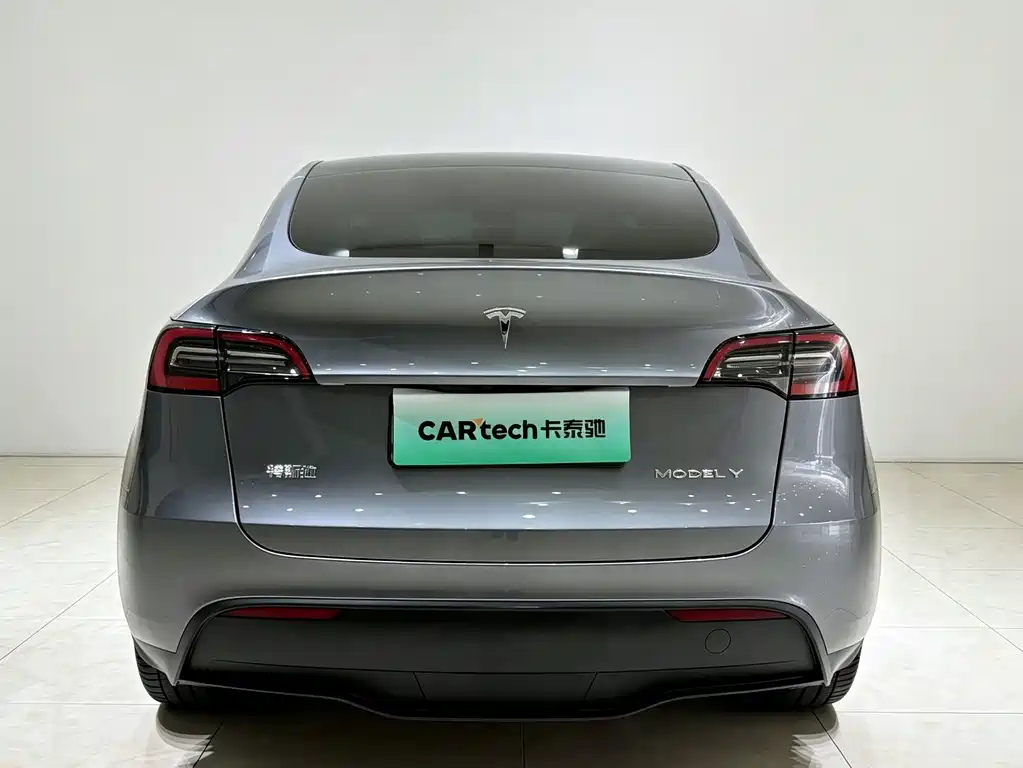 Tesla Model Y — миниатюра 19