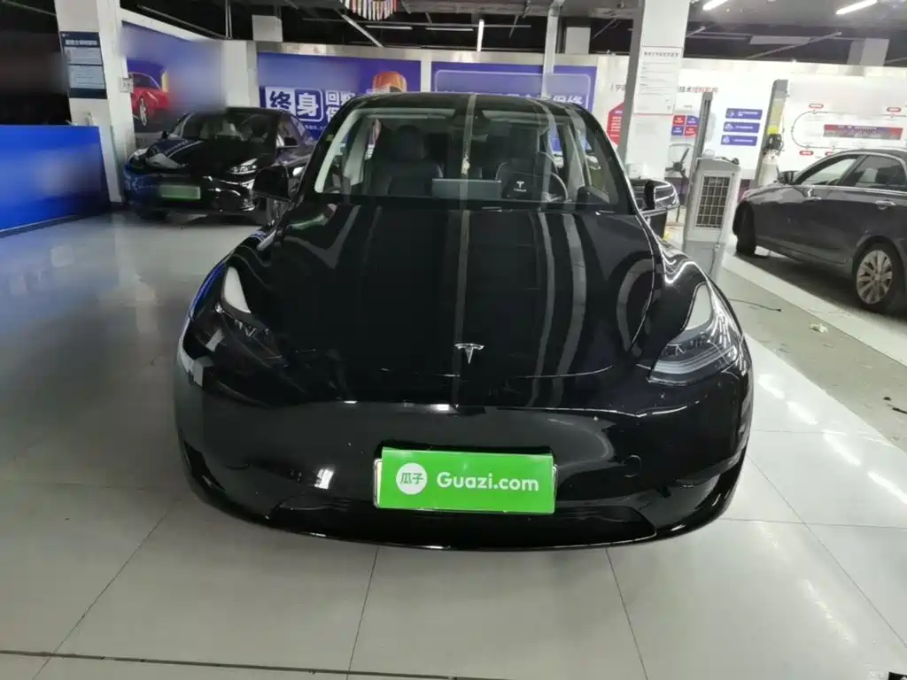 Tesla Model Y — миниатюра 3