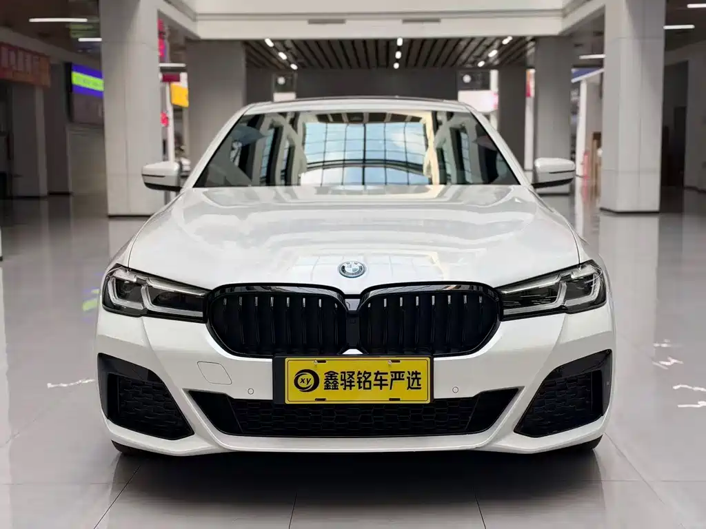 BMW 5 Series New Energy — миниатюра 2
