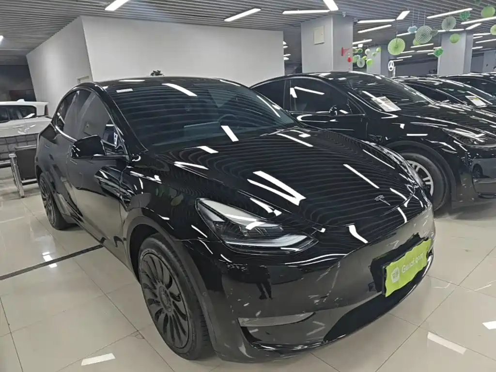 Tesla Model Y — миниатюра 4