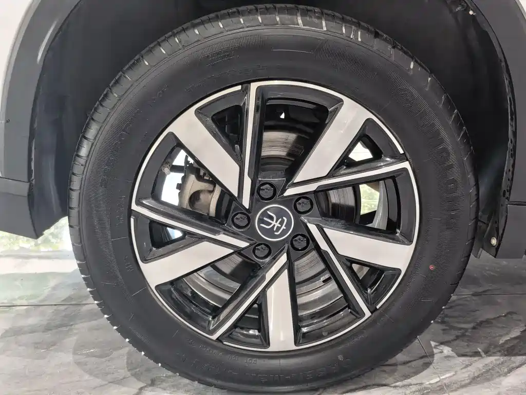 BYD Pro New Energy — миниатюра 19