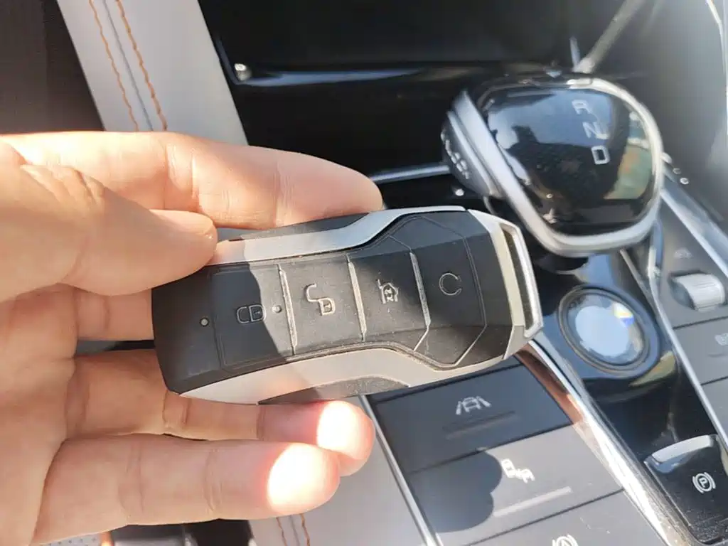 BYD PLUS New Energy — миниатюра 9