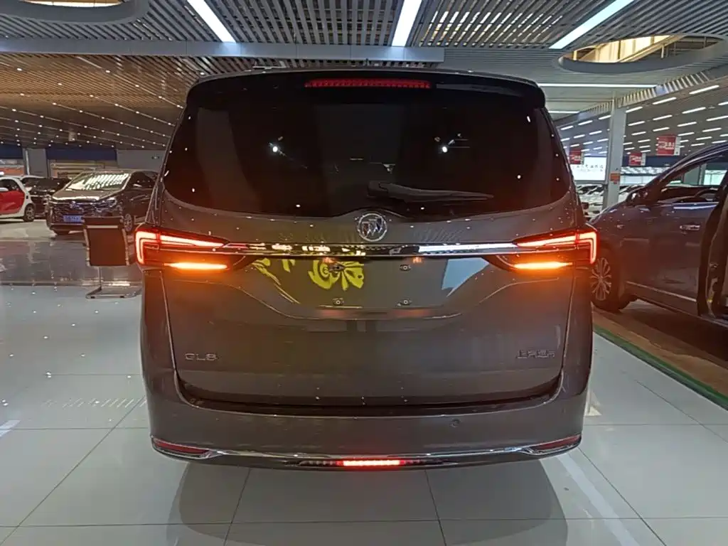 Buick GL8 — миниатюра 6