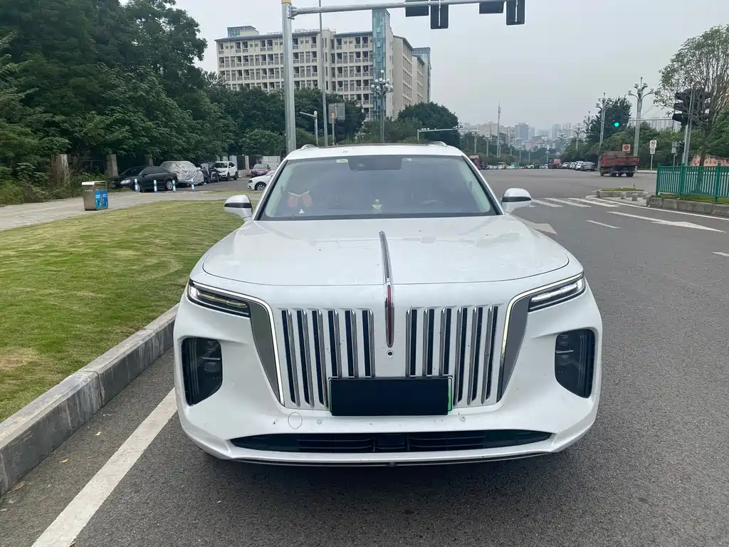Hongqi Hongqi E-HS9 — миниатюра 2