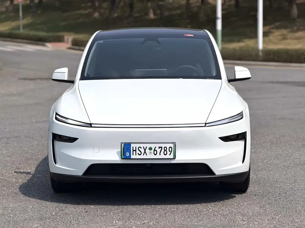 Tesla Model Y — миниатюра 2
