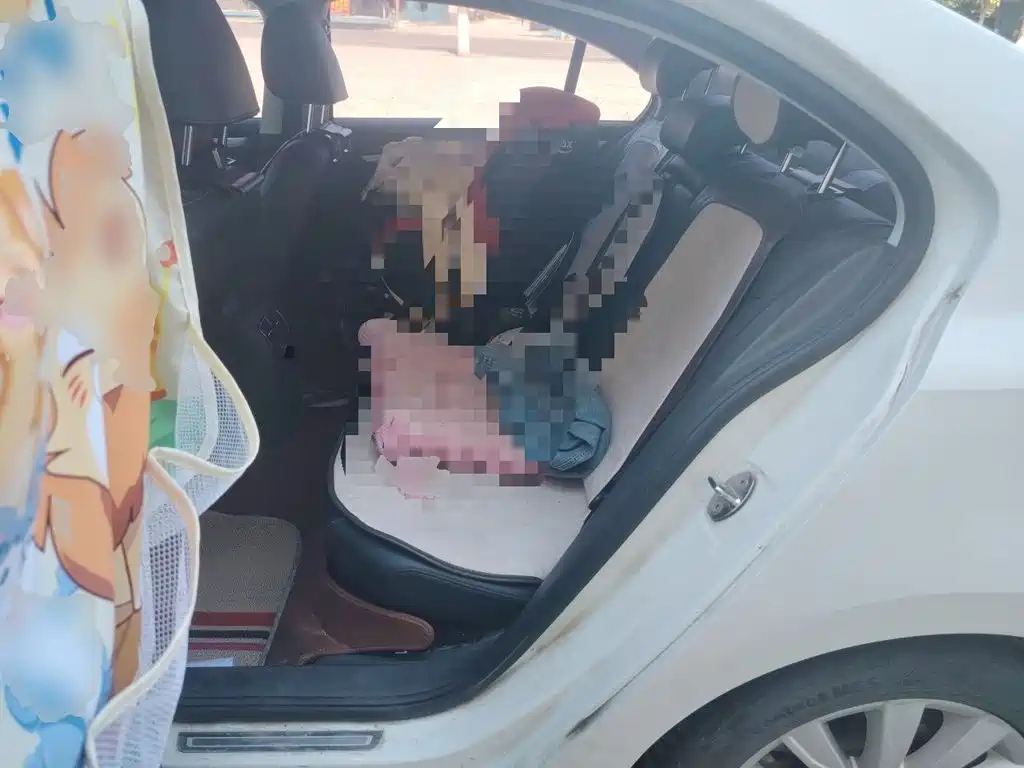 Volkswagen Sagitar — миниатюра 18