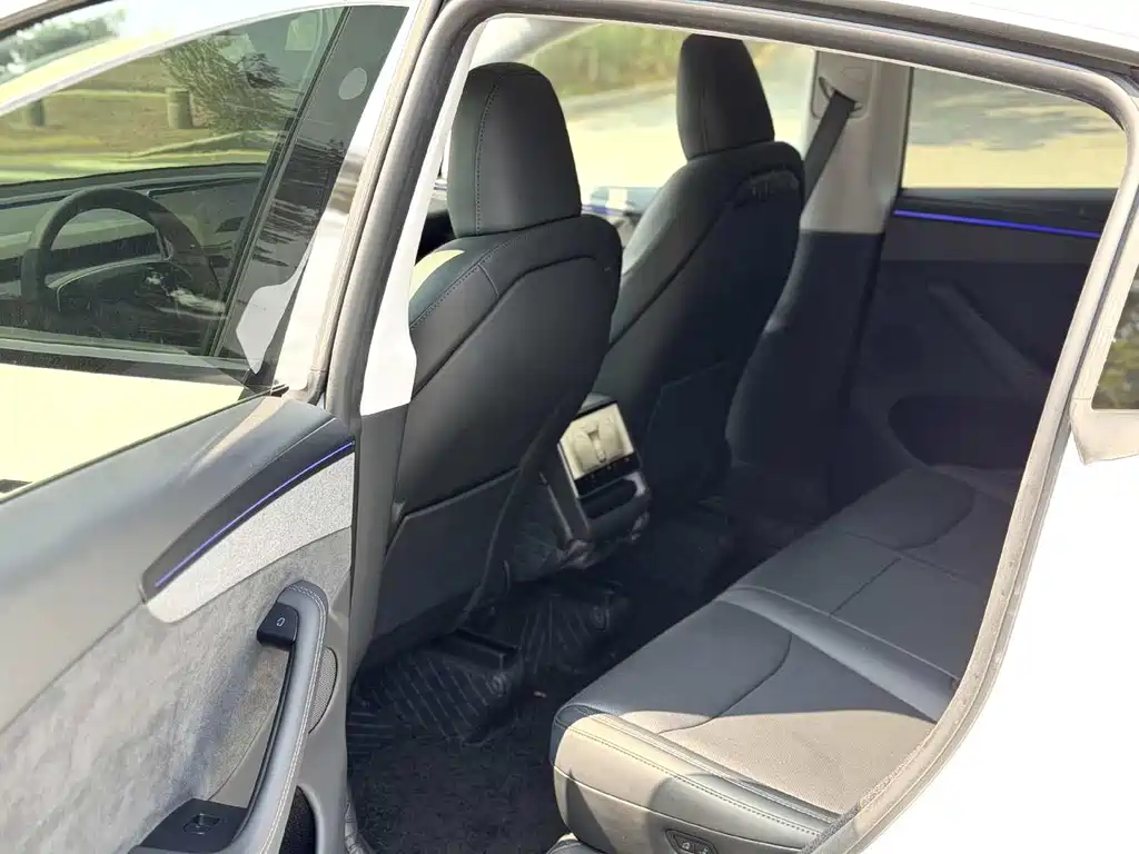 Tesla Model Y — миниатюра 8