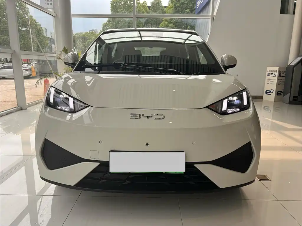 Byd Seagull 2025