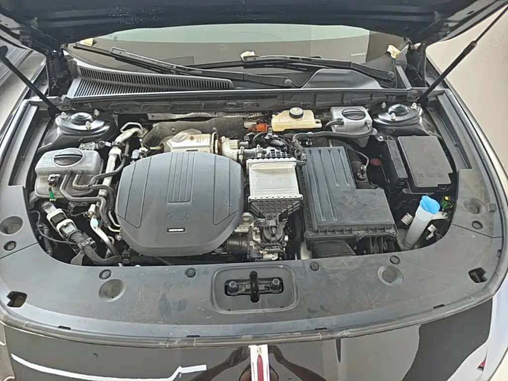 Hongqi Hongqi H5 PHEV — миниатюра 20