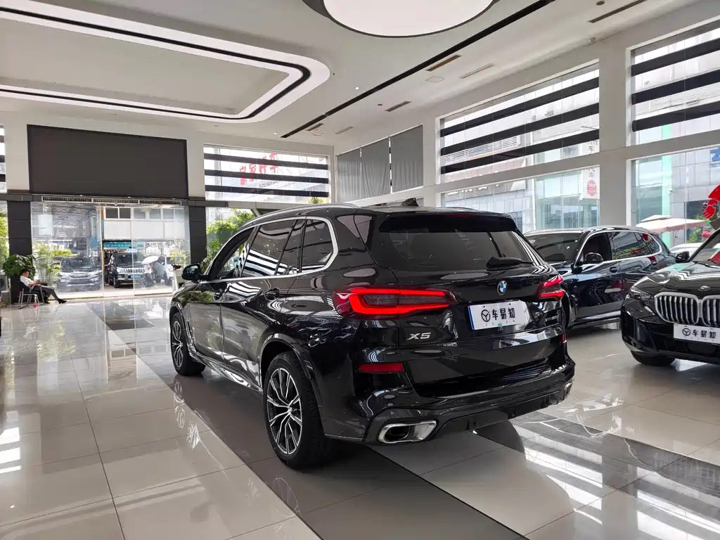 BMW X5 xDrive 30Li Premium Type M Sport Package, фото 4