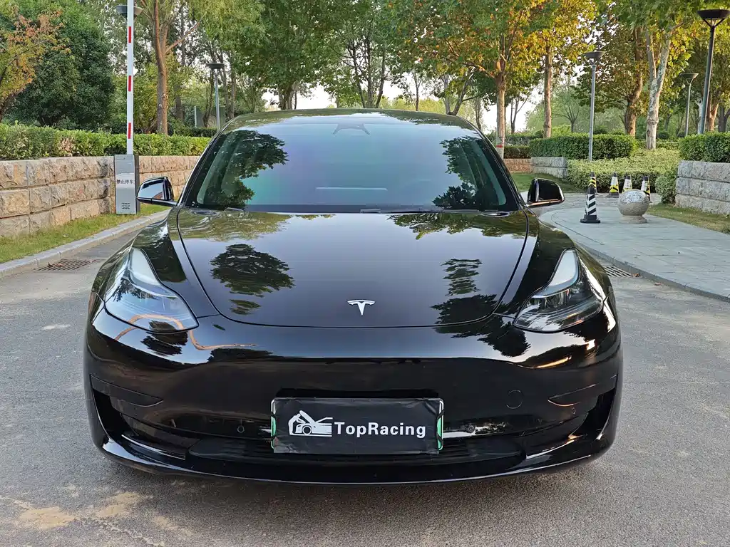 Tesla Model 3 — миниатюра 2