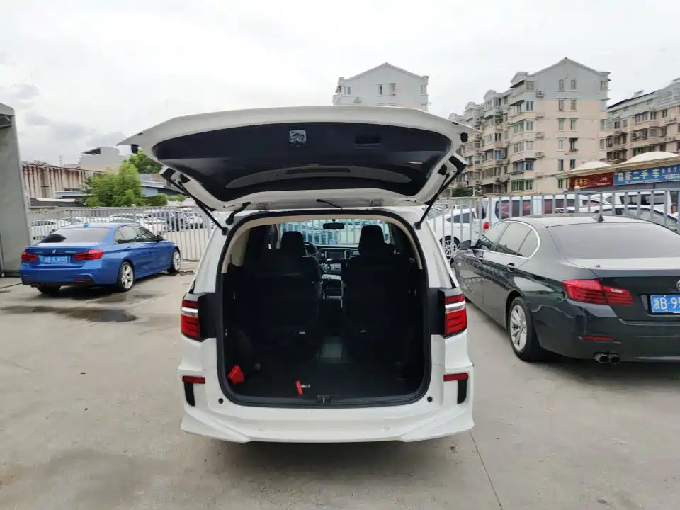 Honda Elysion — миниатюра 9