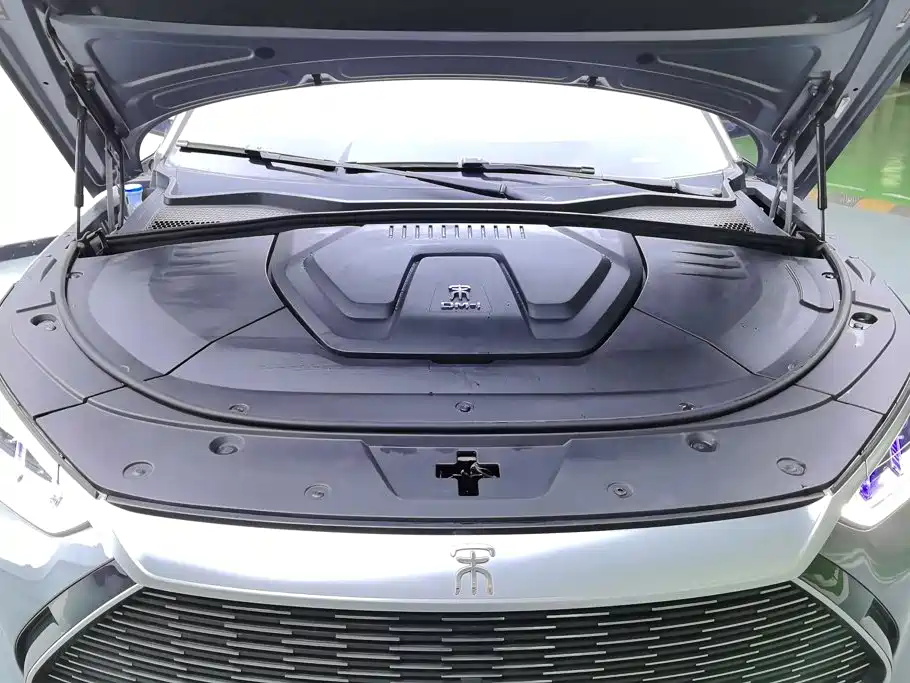 BYD PLUS New Energy — миниатюра 10