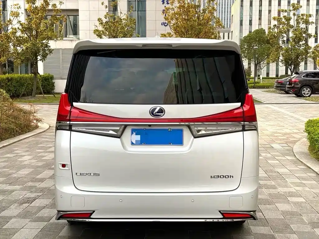 Lexus LM 2020 300h мест