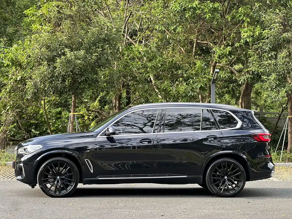 BMW X5 — миниатюра 10