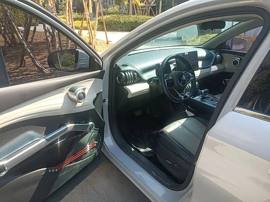 BYD Yuan Plus — миниатюра 19