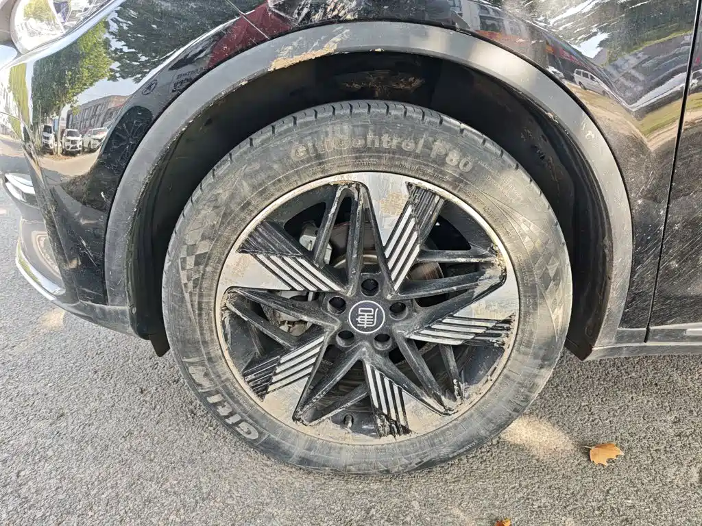 BYD Tang New Energy — миниатюра 23