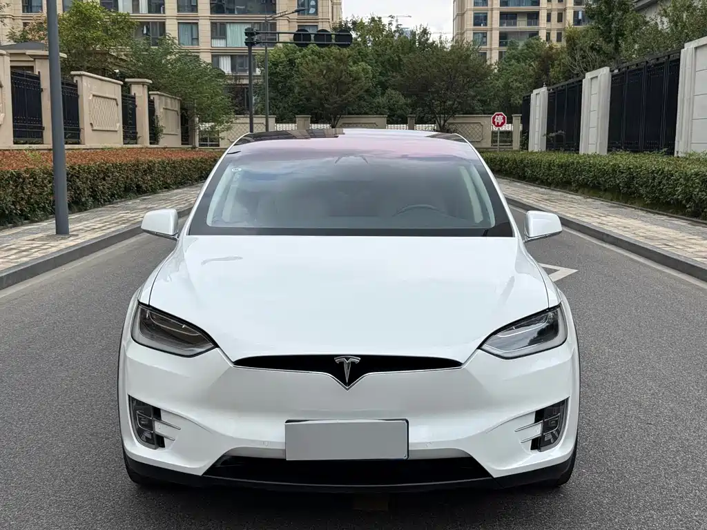 Tesla Model X — миниатюра 8