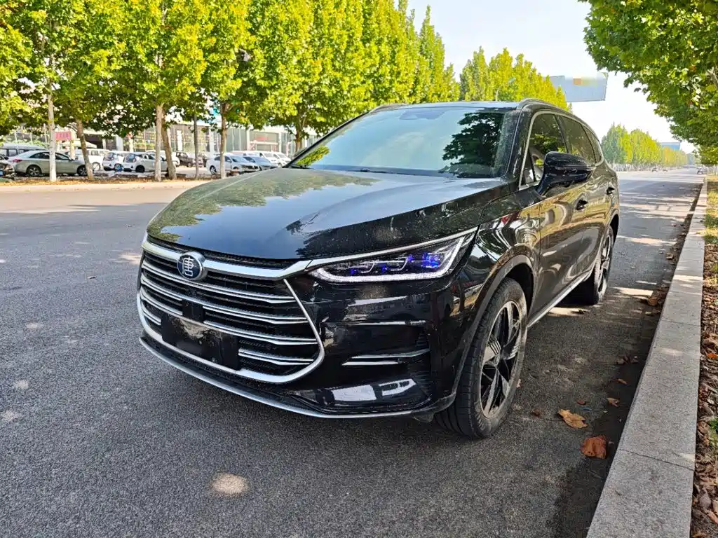 BYD Tang New Energy — миниатюра 2