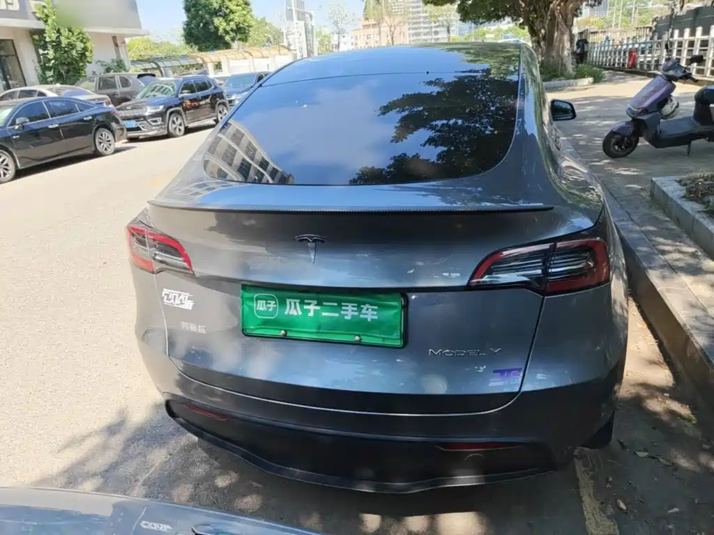 Tesla Model Y — миниатюра 6