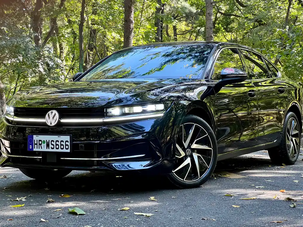 Volkswagen Magotan — миниатюра 2