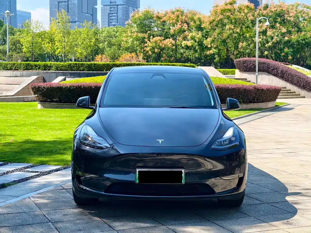 Tesla Model Y — миниатюра 2