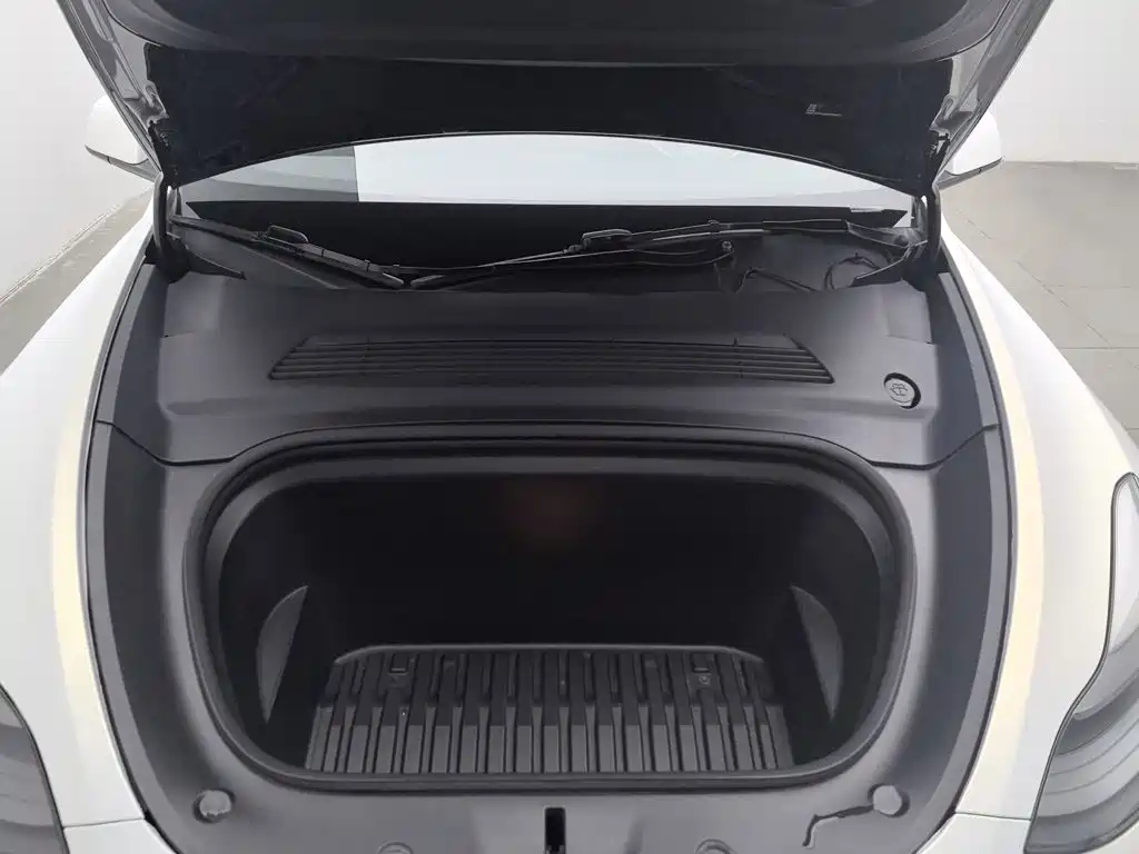 Tesla Model Y — миниатюра 6