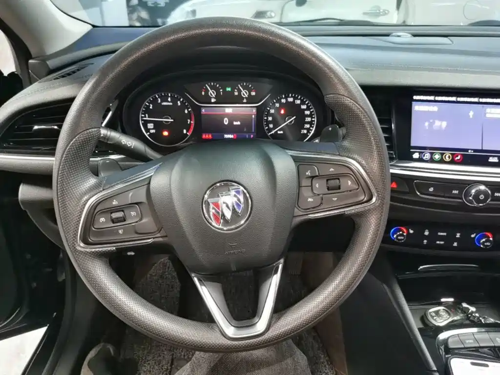 Buick Regal — миниатюра 11
